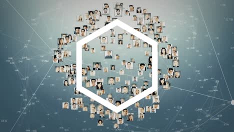 animation of hexagon and photos with network of connections