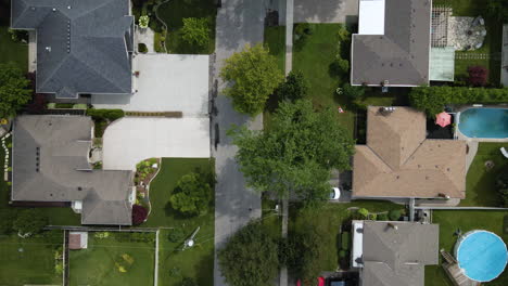 drone top down pan along empty suburban road lined with lush green trees