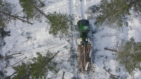 machine collecting logs in pineforest in winter