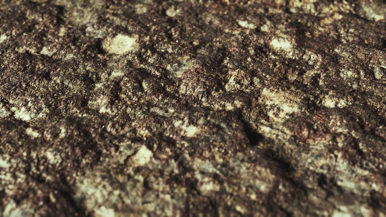 cierre de una carretera de tierra sucia