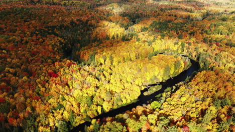 Toma-Aérea-De-Sombras-Corriendo-Sobre-Un-Bosque-En-Pleno-Color-Otoñal