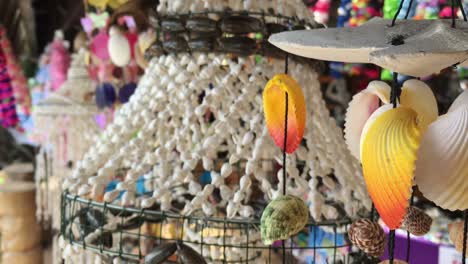 exotic snail shells mobile in rarotonga cook islands