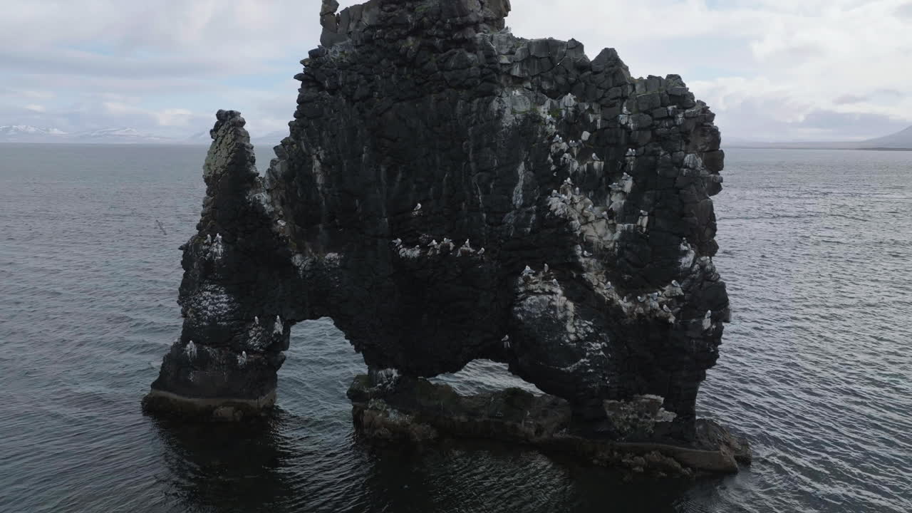 Aerial View of Birds Flying Around Hv&iacute;tserkur Basalt Rock Near Coast of Iceland, Drone Shot