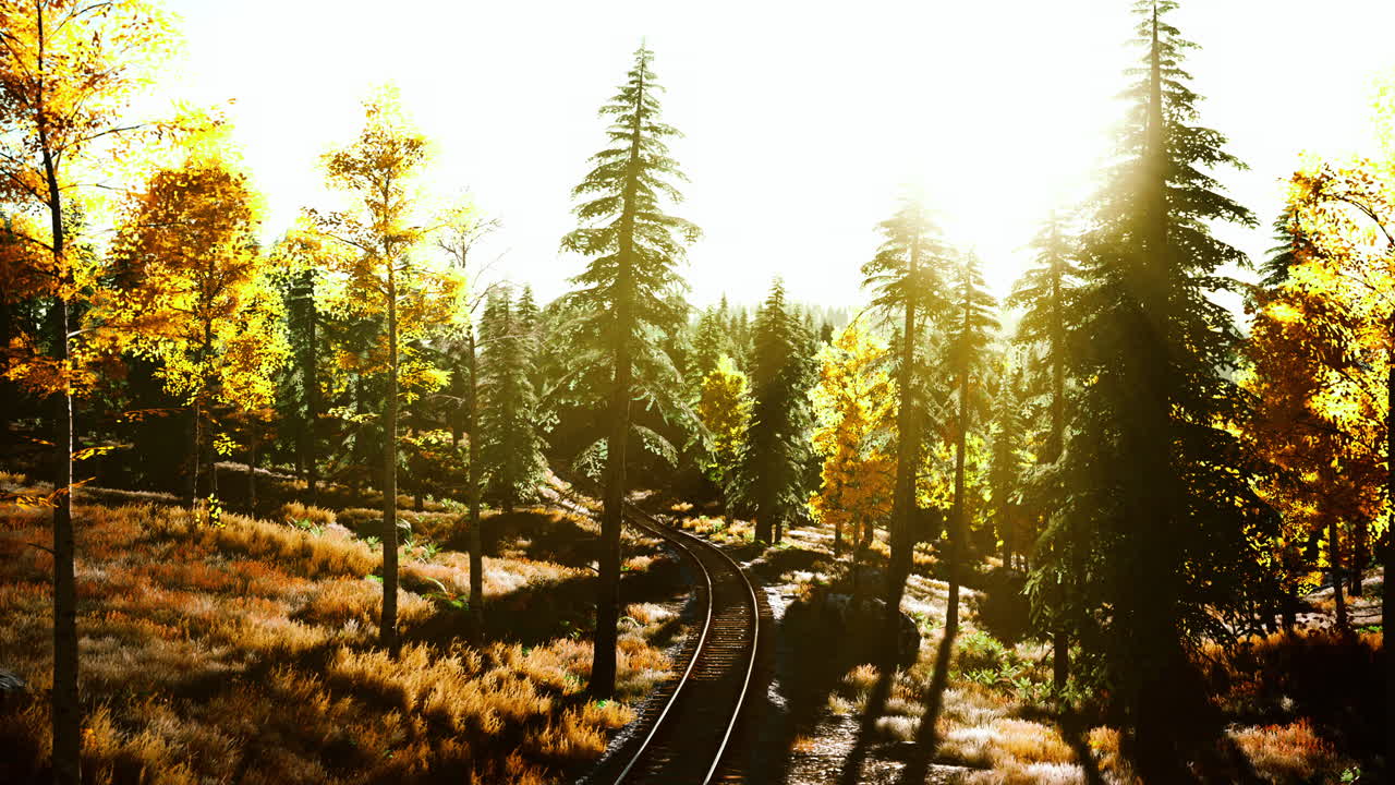 захватывающий закат на железнодорожном пути, окруженный пышным лесом