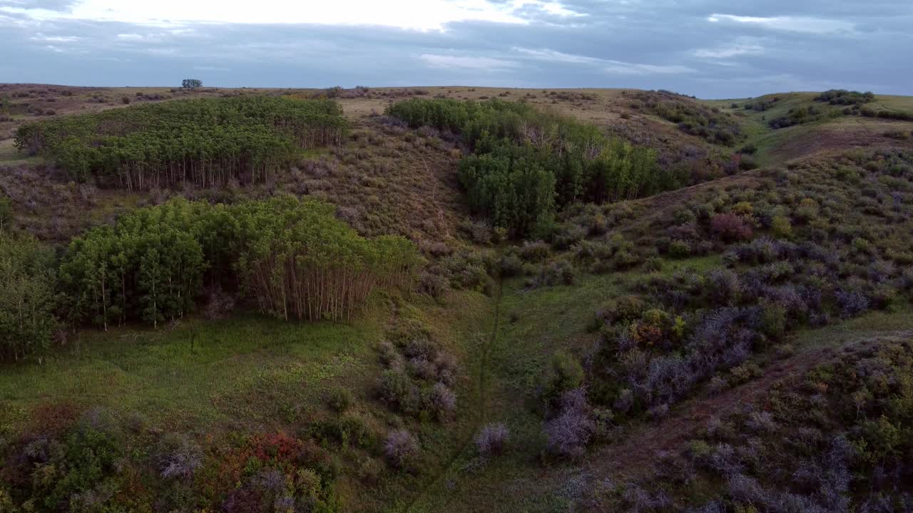 centro de la ciudad, emergiendo, desde el parque, en el parque de nose hill, calgary, alberta, canadá