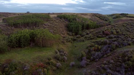 Innenstadt,-Aus-Dem-Park-Auftauchend,-Im-Nose-Hill-Park,-Calgary,-Alberta,-Kanada