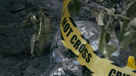 police crime scene tape flaps over eerie human skull found under bushes