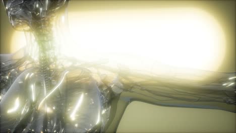 imagen de rayos x del cuerpo humano