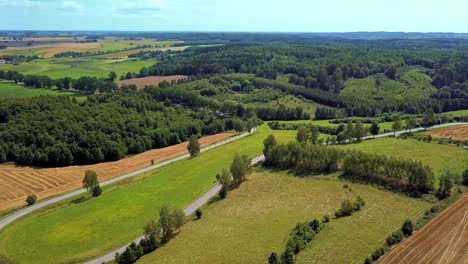 aerial shot of curvy country road surrounded by fields and trees