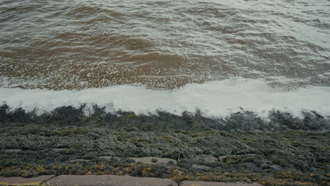 olas en la orilla del río en dundee, escocia