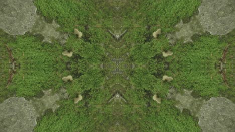 Grünes-Kaleidoskop-Mit-Waldbildern-Aus-Wissahickon-Creek,-Philadelphia,-Nr.-23