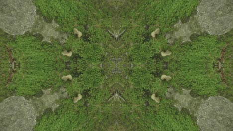 greenery kaleidoscope using forest imagery from wissahickon creek, philadelphia, #23