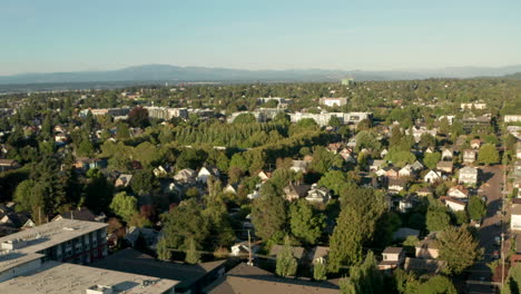 aerial shot over green wealthy american suburb