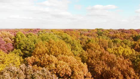 Drone-Aéreo-4k-Vista-De-Pájaro-Coloridas-Copas-De-árboles-En-Un-Bosque-Con-Cielo-Azul-Y-Nubes-Blancas-Y-Hojas-De-Colores-Rojo,-Verde,-Amarillo-Y-Naranja-En-Otoño