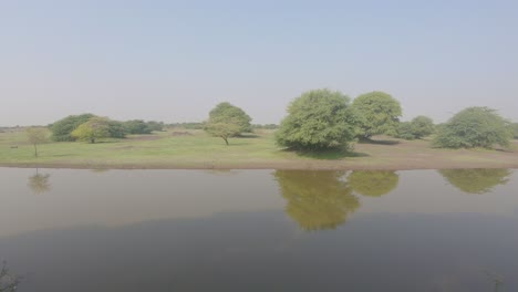 hermoso lago cerca de un bosque tropical en jamnagar, gujarat, india