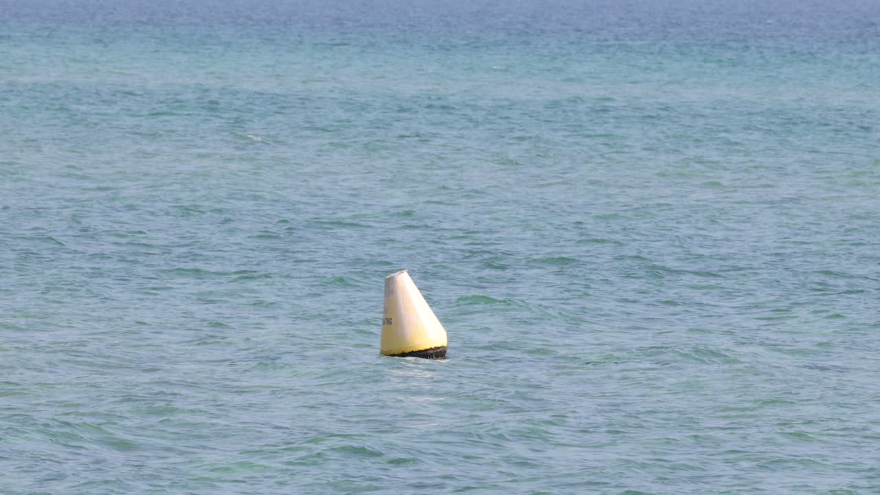 바다의 파도에서 떠다니는 보이