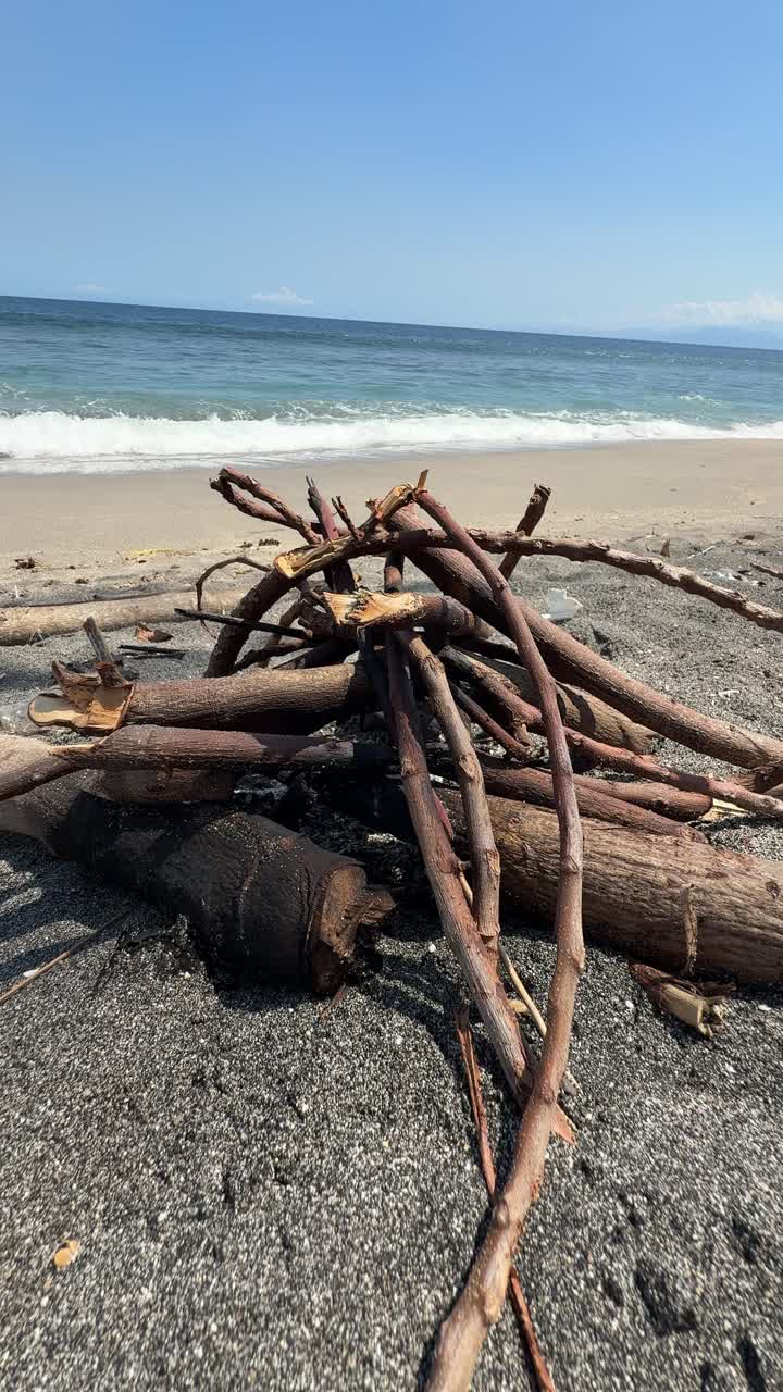 Drivtømmerbunke på en sandstrand med havbølger i baggrunden.