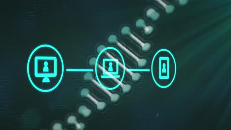 3D-DNA-Gen-Rotiert