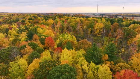 Turbinen-Wirbeln-Im-Hintergrund-Einer-Grünen-Landschaft-In-Herbstfarben