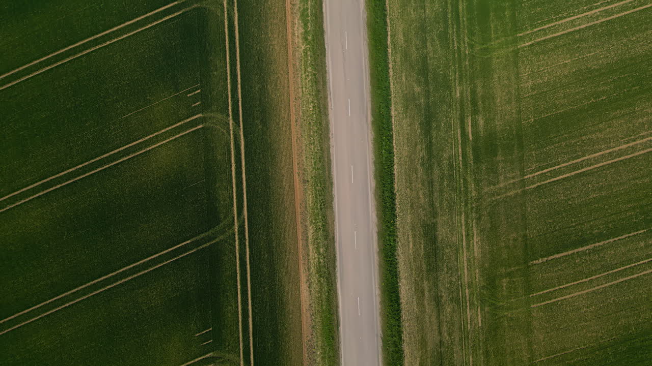 vista de arriba hacia abajo de las filas verdes dentro de las tierras de cultivo