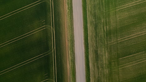 Top-down-view-of-green-rows-within-farmland