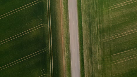 Vista-De-Arriba-Hacia-Abajo-De-Filas-Verdes-Dentro-De-Las-Tierras-De-Cultivo