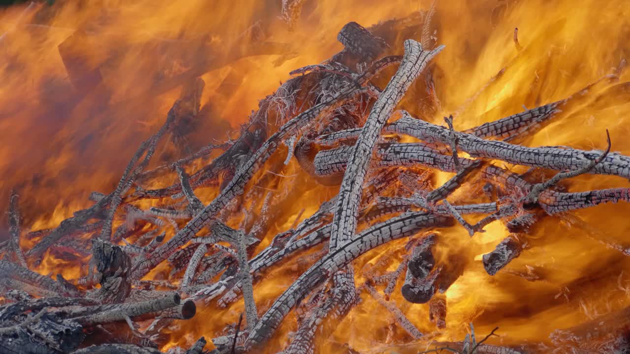 un primer plano de un intenso fuego quemando troncos