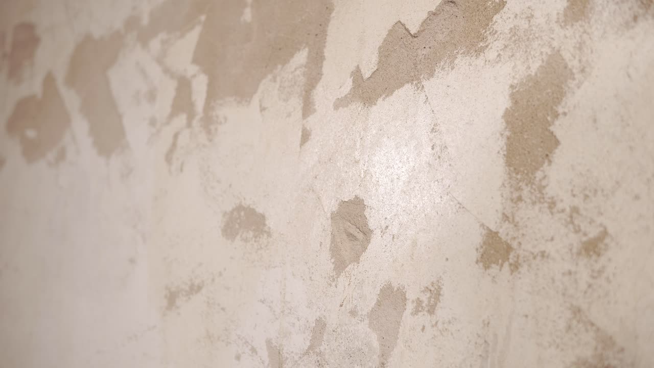 Wall Painting and Plastering