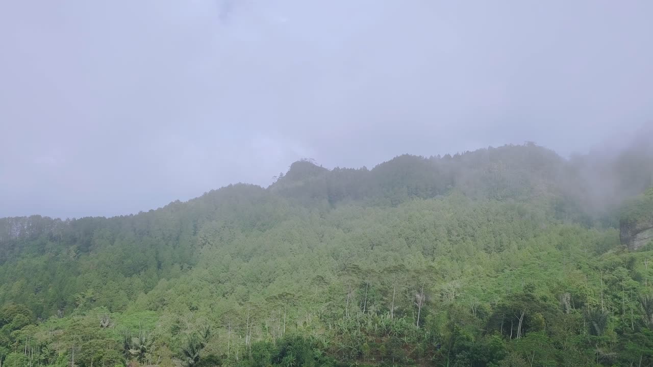 video en movimiento lento de la niebla que