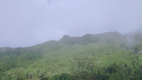 안개의 느린 움직임 영상