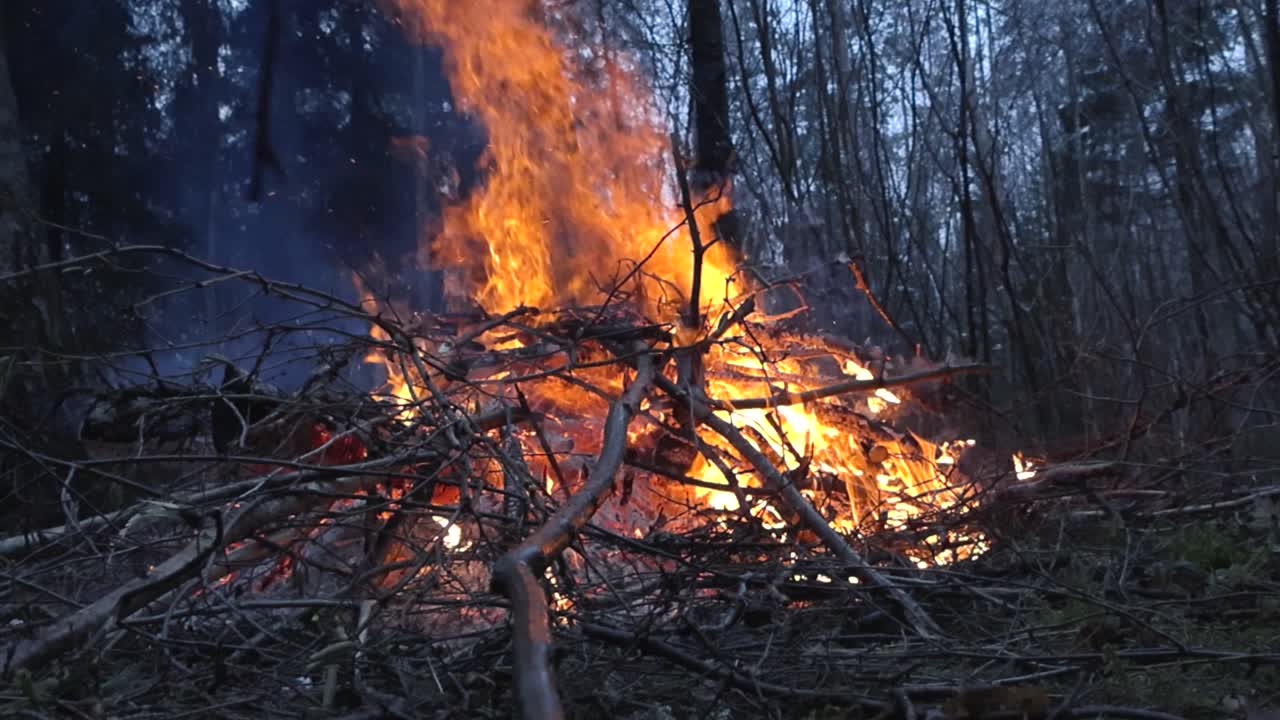 Gorgeous footage of a fire, bonfire or a campfire burning with vibrant orange and yellow flames and smoke in slow motion in a forest during dusk, dawn or night time. Branches burning, sparks flying.