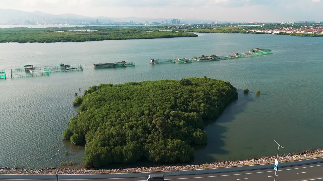 4K cinematic aerial drone view of lush green mangrove forest and fish pens near a coastal city in Cebu, Philippines. Ideal for environmental, tourism, sustainability, and development projects