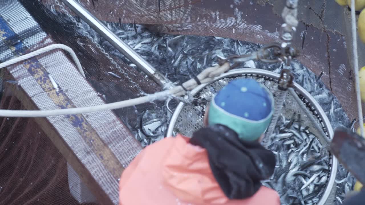 갓 잡은 생선. 어부들은 그들을 배에 태운다