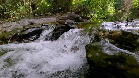 slow motion scenery, aquatic tropical view, fast moving water motion