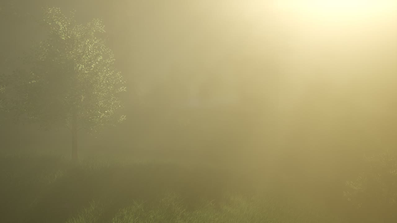 반 ⁇ 이는 마법의 숲