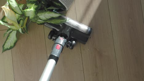 vacuuming a floor with a plant nearby