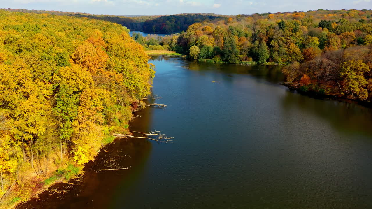 Autumn woods full of bright colors on sunny day. Drone descending over the smooth surface of dark river. Aerial view.