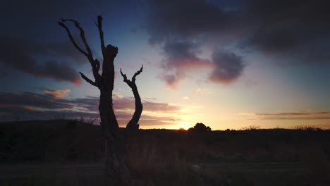 Zeitraffer-Eines-Toten-Baumes-Mitten-Im-Nirgendwo-Bei-Sonnenuntergang