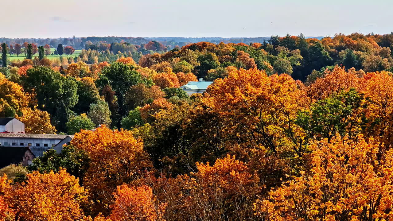 Autumnal scenery featuring orange-colored trees in Talsi, Latvia