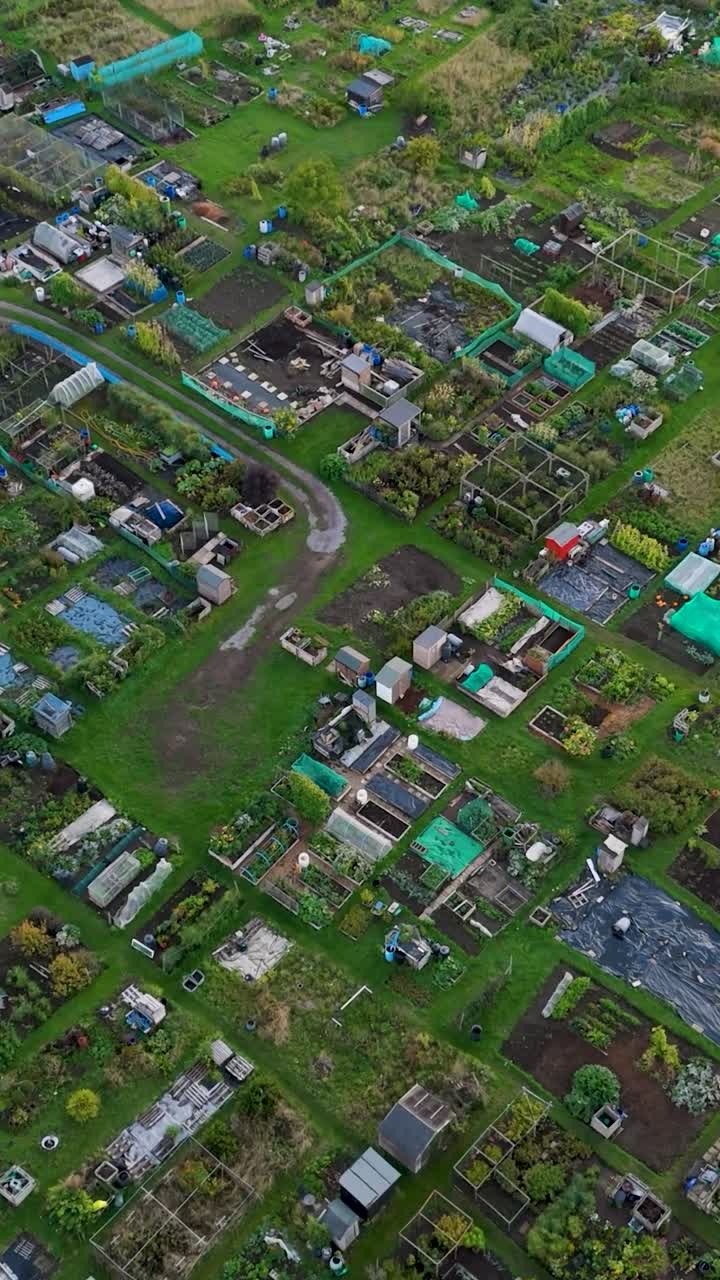 Vertical drone aerial flyover of colorful garden allotments in Dorchester on Thames, Oxfordshire. Camera glides diagonally at 60°, revealing a patchwork of gardens, plots, and nature