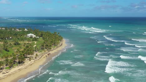 costa tropical prístina e abundante com palmeiras de coco e mar turquesa do caribe. vista aérea de drone