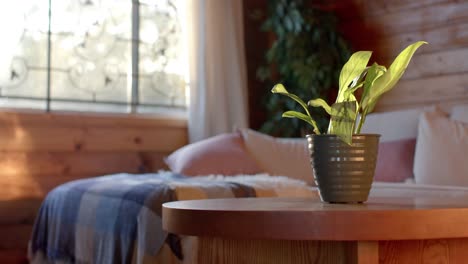 planta en olla en la mesa sobre el sofá y la ventana en la cabaña de madera, cámara lenta