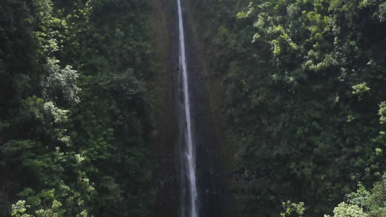Rising through dense jungle covered cliffs of Honomanu Falls, Maui, Hawaii, aerial slow motion