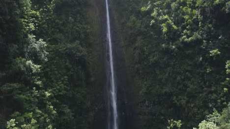rising through dense jungle covered cliffs of honomanu falls, maui, hawaii, aerial slow motion