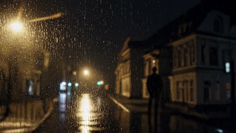 rainy night city street view from bus stop