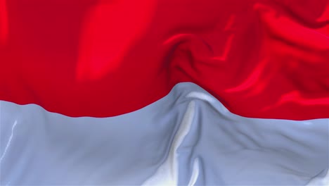 indonesian flag