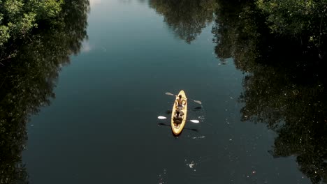 couple adventure with kayaks in beautiful mangrove forest in el paredon, guatemala - drone shot