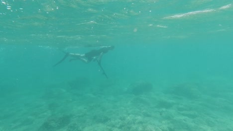 spearfisher in distance snorkeling in shallow water in the mediterranean sea