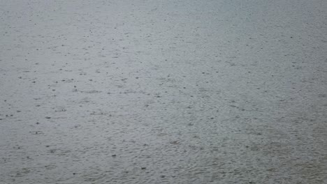 heavy rainfall splashing on lake surface, natures weather background
