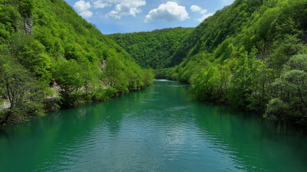 Ripresa aerea bassa di un fiume verde e limpido circondato da alberi rigogliosi e appena germogliati all'inizio della primavera, sotto un cielo con nuvole sparse